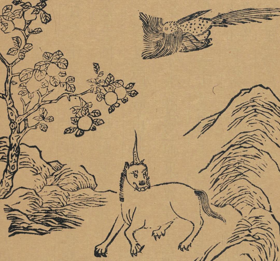 橙子橘子柚子柠檬树哪个开花最香,柚子柑橘橙子之间的关系