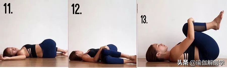 给大家推荐一套瑜伽练习序列,最适合瑜伽初学者练的50个体式