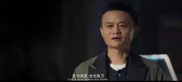 不认识的猫亲近你,不认识的猫对我叫好吗