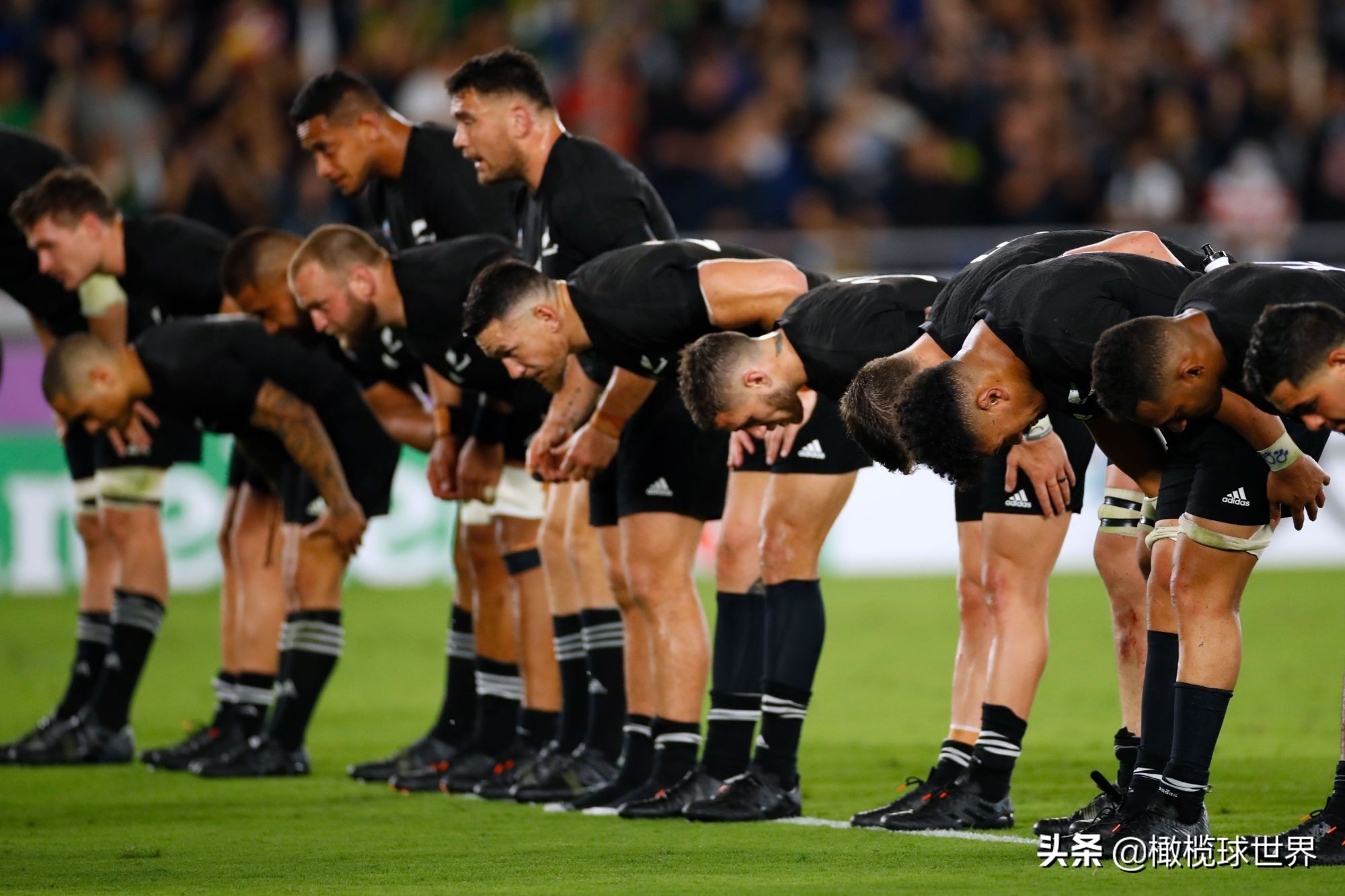 英式橄榄球今日赛程,2023年英式橄榄球中日韩青年比赛