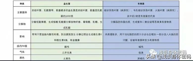 告别便秘最好的方法,告别肠道小烦恼