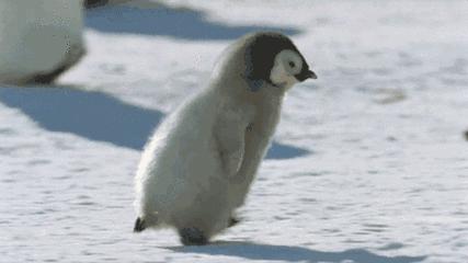 济南发布降温预警,济南将迎大幅降温预警