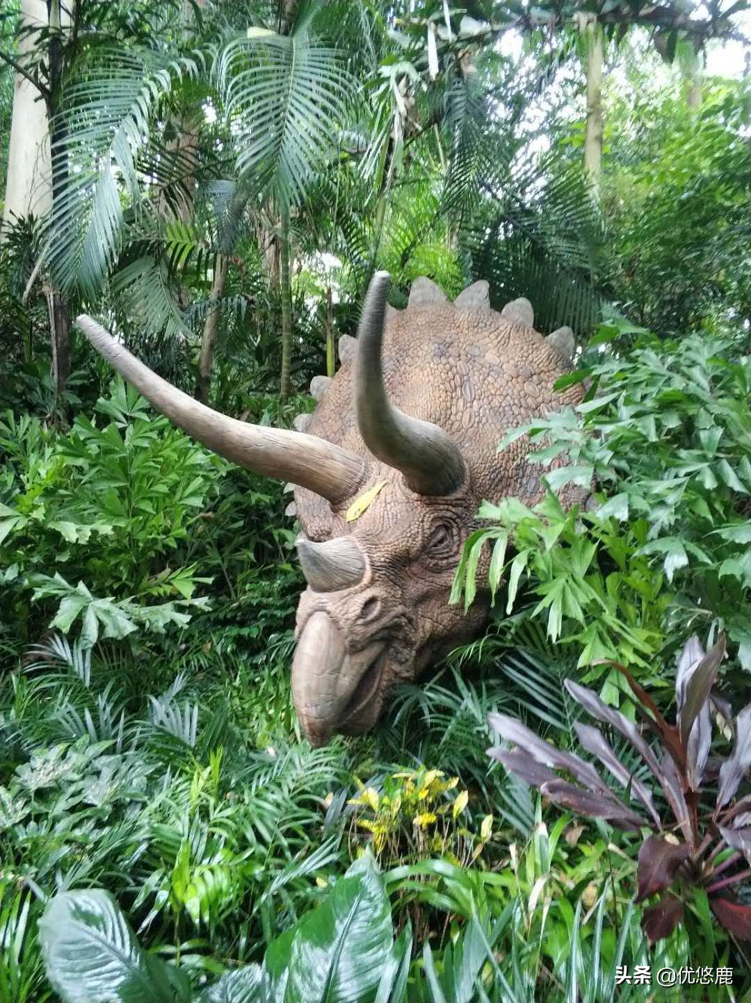 广州长隆野生动物园自驾大马戏,广州长隆野生动物园攻略马戏表演