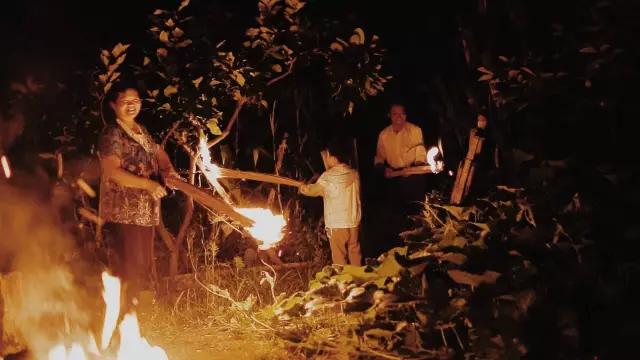 这是一个生机勃勃的地方关于它的故事才刚刚开始