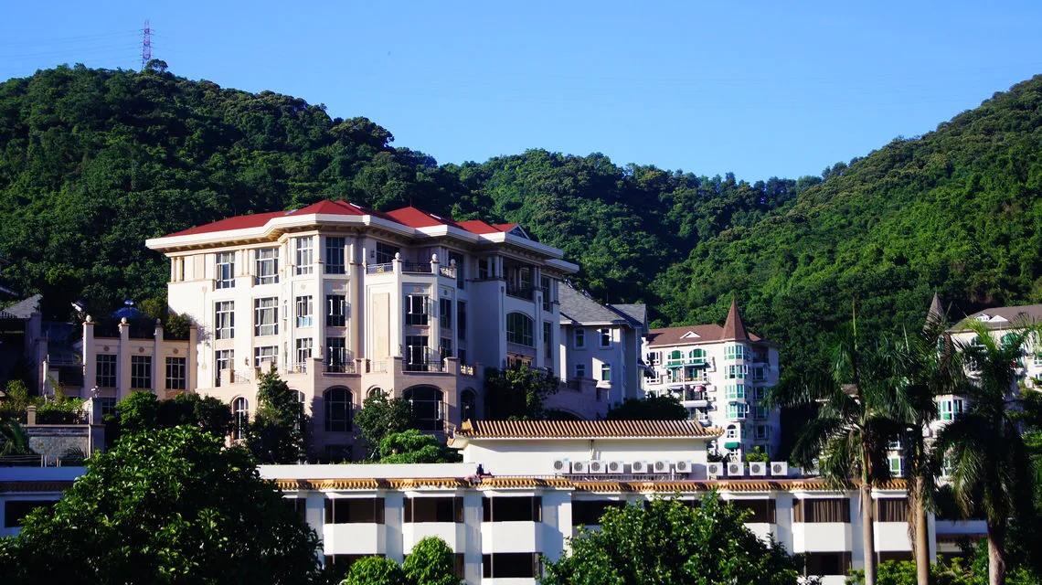 深圳免费公园哪里最好啊,深圳十大免费公园景点大全