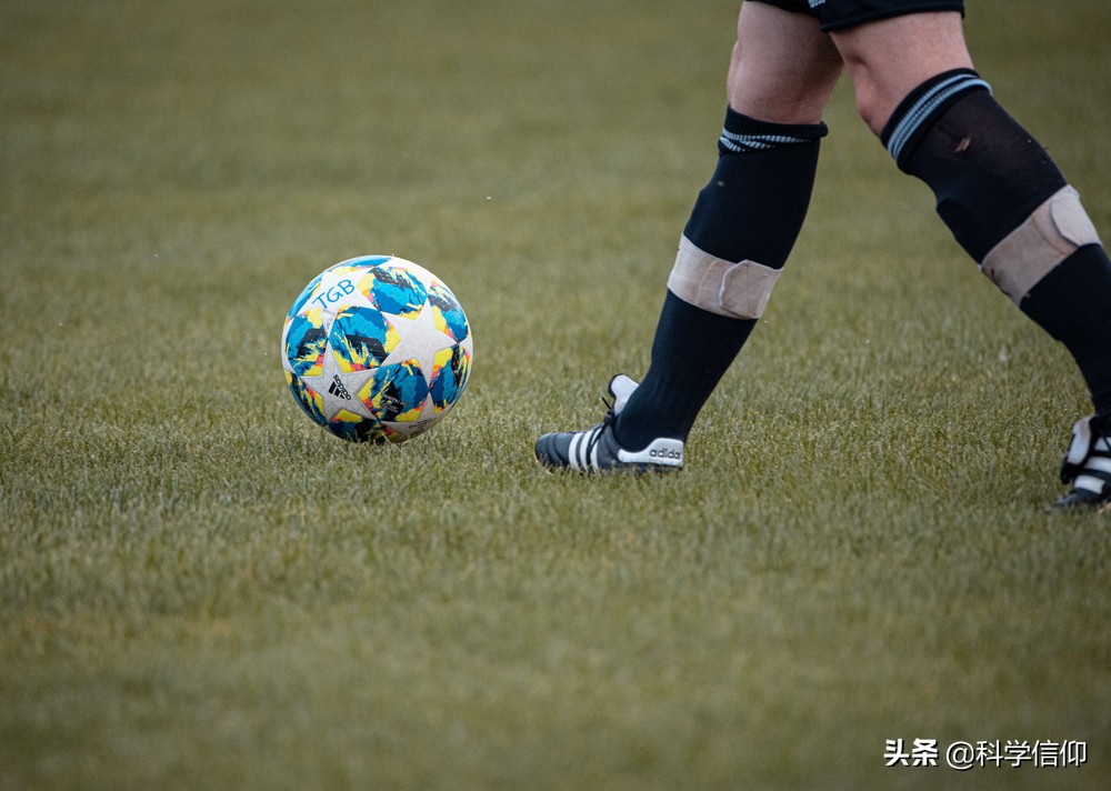 苍蝇飞得并不快为啥难打,为什么苍蝇在窗子上很容易打到它