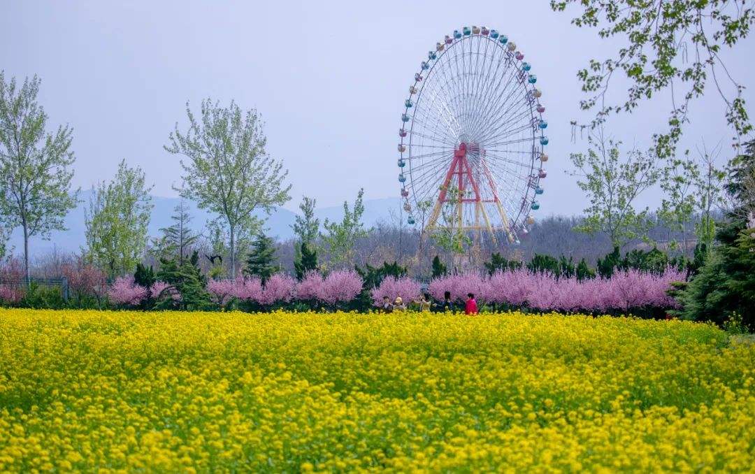 山东济南4a景点,济南市华山旅游景区