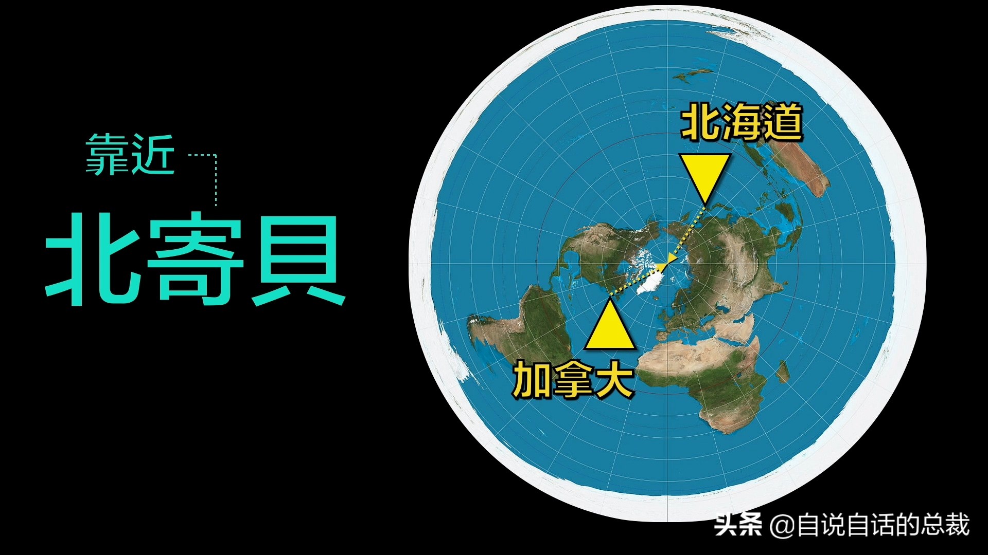 蚬蚌蛏的区别是什么,蚶子蛤蜊蚬子区别