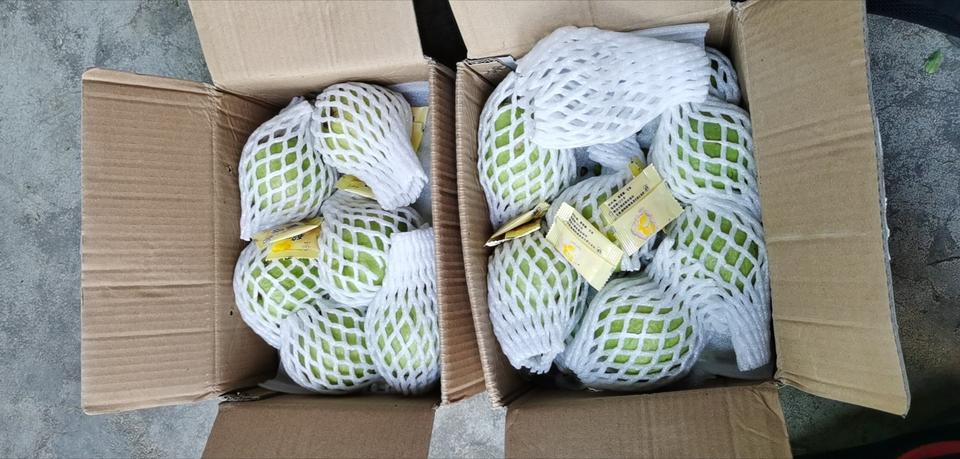 口感最甜的芭乐,什么颜色的芭乐好吃又甜