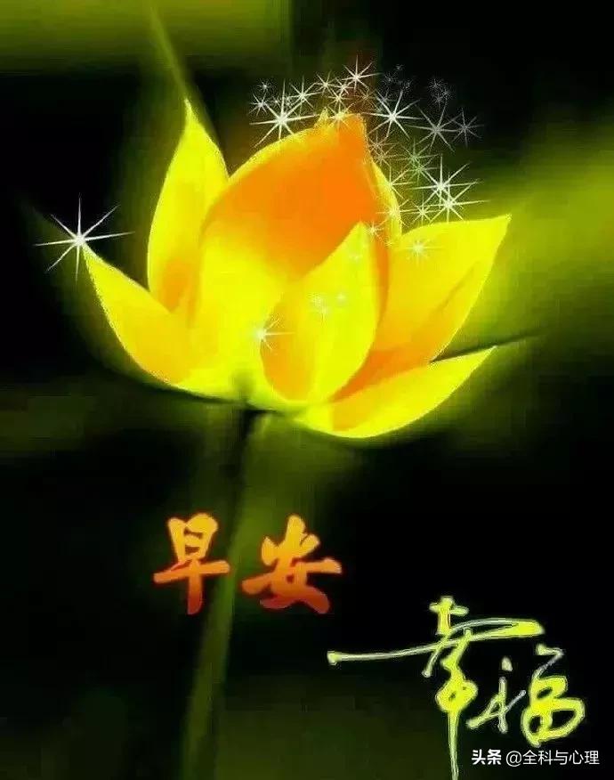 早上好表情早上好问候,早上好动态表情图片大全最新版