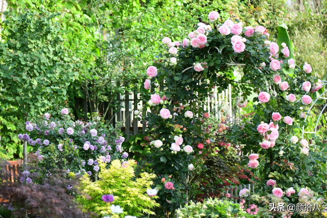 愿时光静止,愿时光静止在这一刻