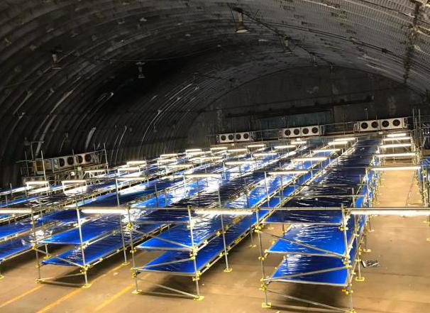 病毒肆虐，英国做最坏打算，将前皇家空军基地被改导致新冠停尸房