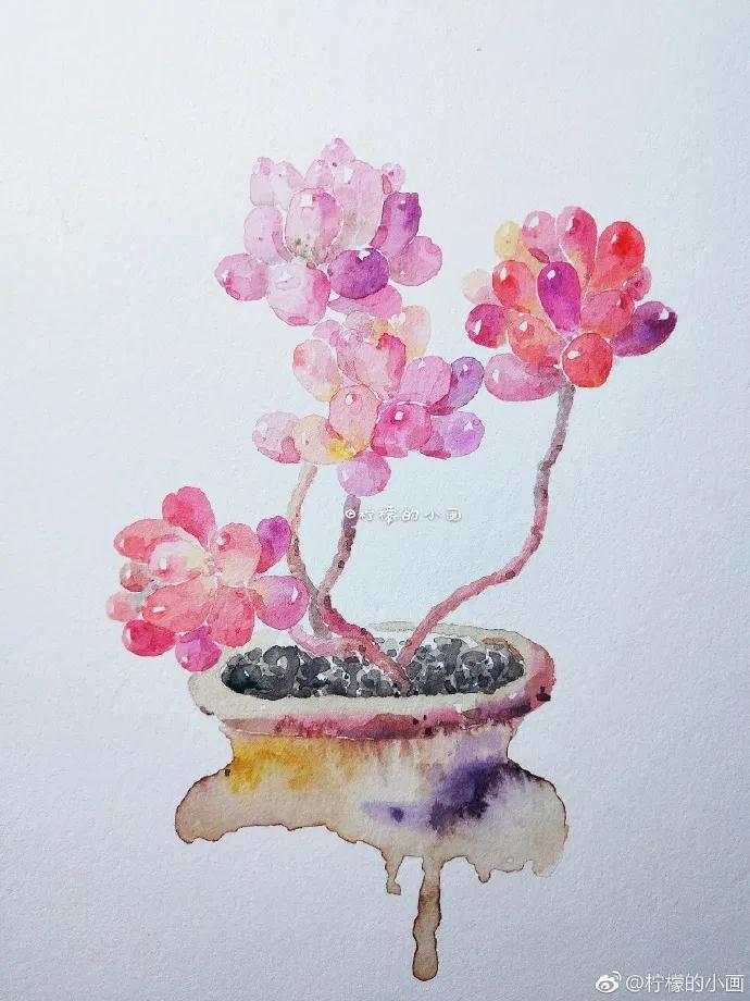 分享一组好看的小清新水彩插画,不来看看简单水彩小插画的教程吗