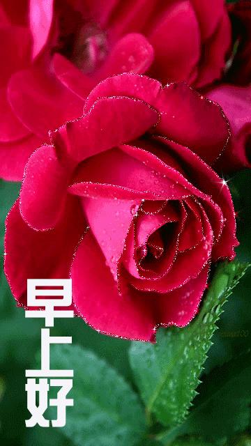 下大雪注意路滑动态表情,大雪问候动态图片