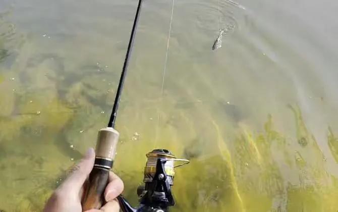 路亚初学者用什么钓具比较好,初学者路亚用什么钓具好