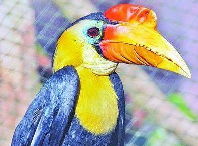 没有买卖就没有杀害带字幕,没有买卖就没有杀害类似的话