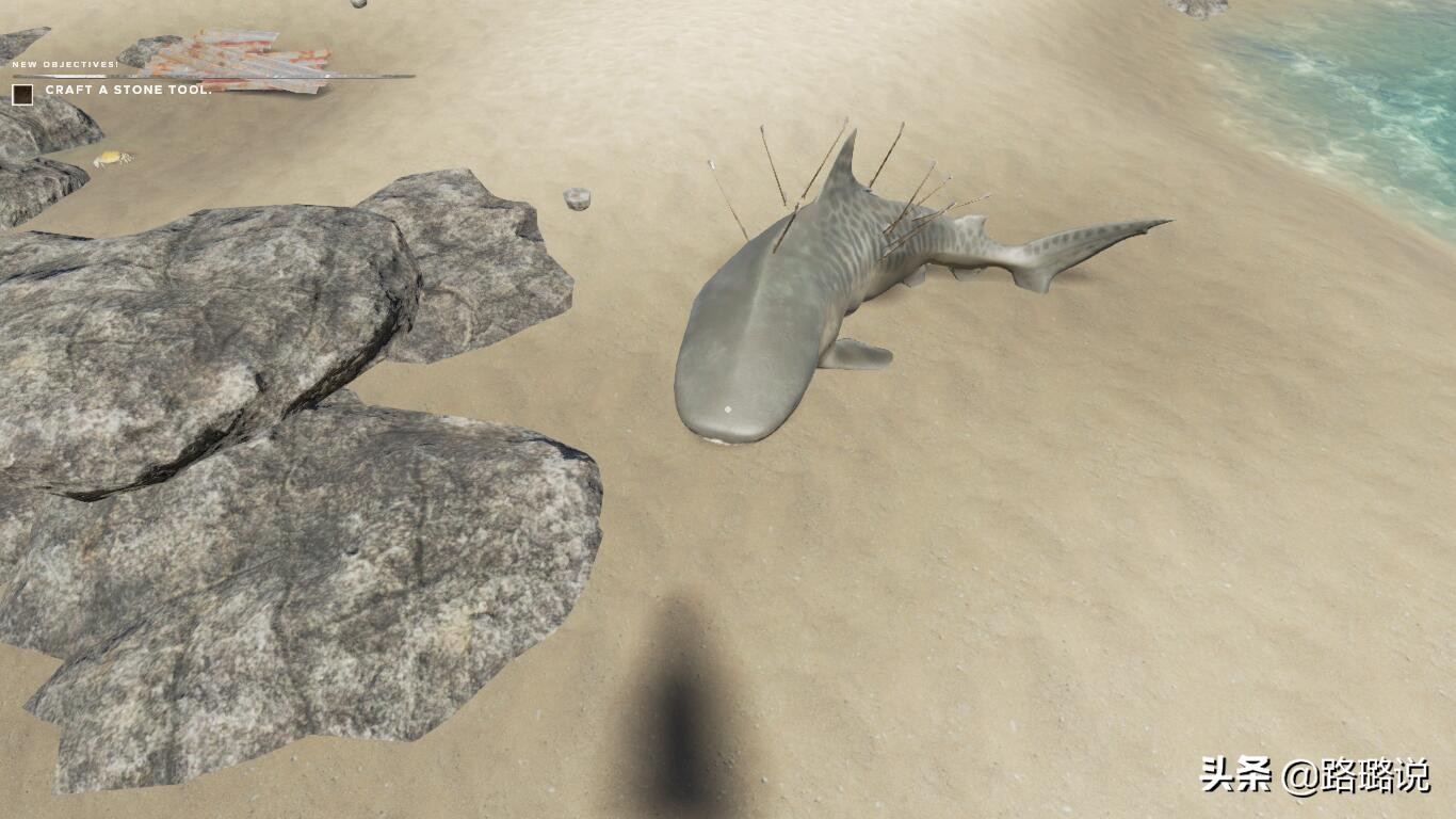 荒岛生存需掌握的5个技能,荒岛求生必备生存技能