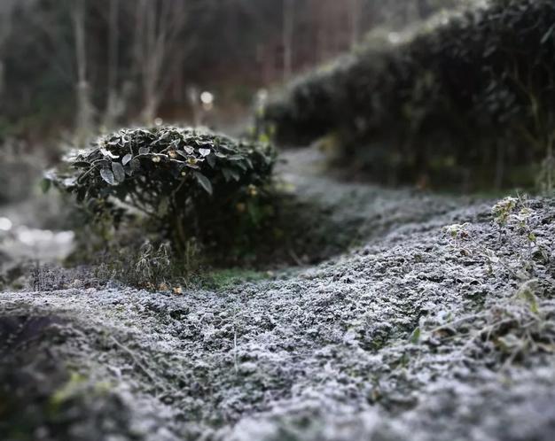 大红袍的泡法,大红袍的两种实用冲泡方法