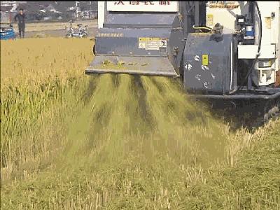 打工人根本没有资本去尝试出路,打工者的出路和思路