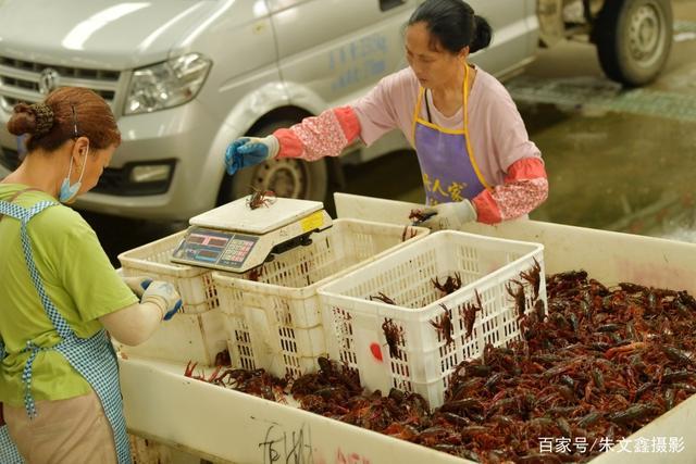 小龙虾原产地潜江深夜小龙虾盛宴,舌尖上的美味小龙虾