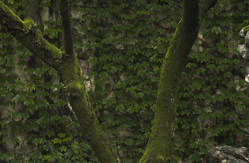 徕卡值得买的二手相机,徕卡相机最值得入手的一款