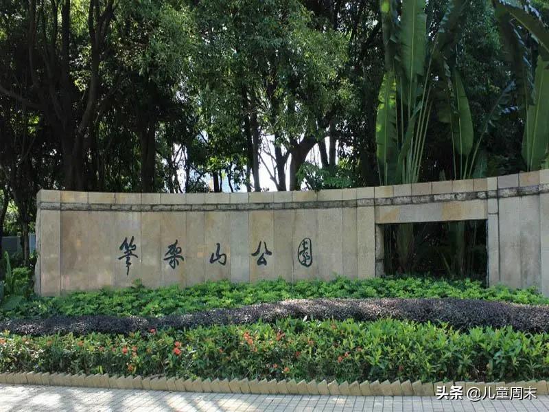 深圳带娃免费旅游推荐,深圳带娃出游景点攻略推荐