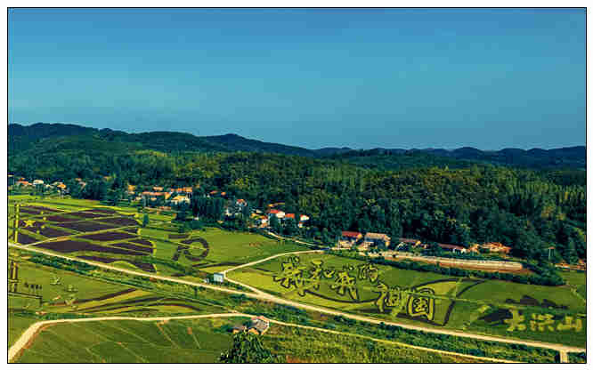 随州大洪山半程马拉松第一名,随州马拉松比赛时间