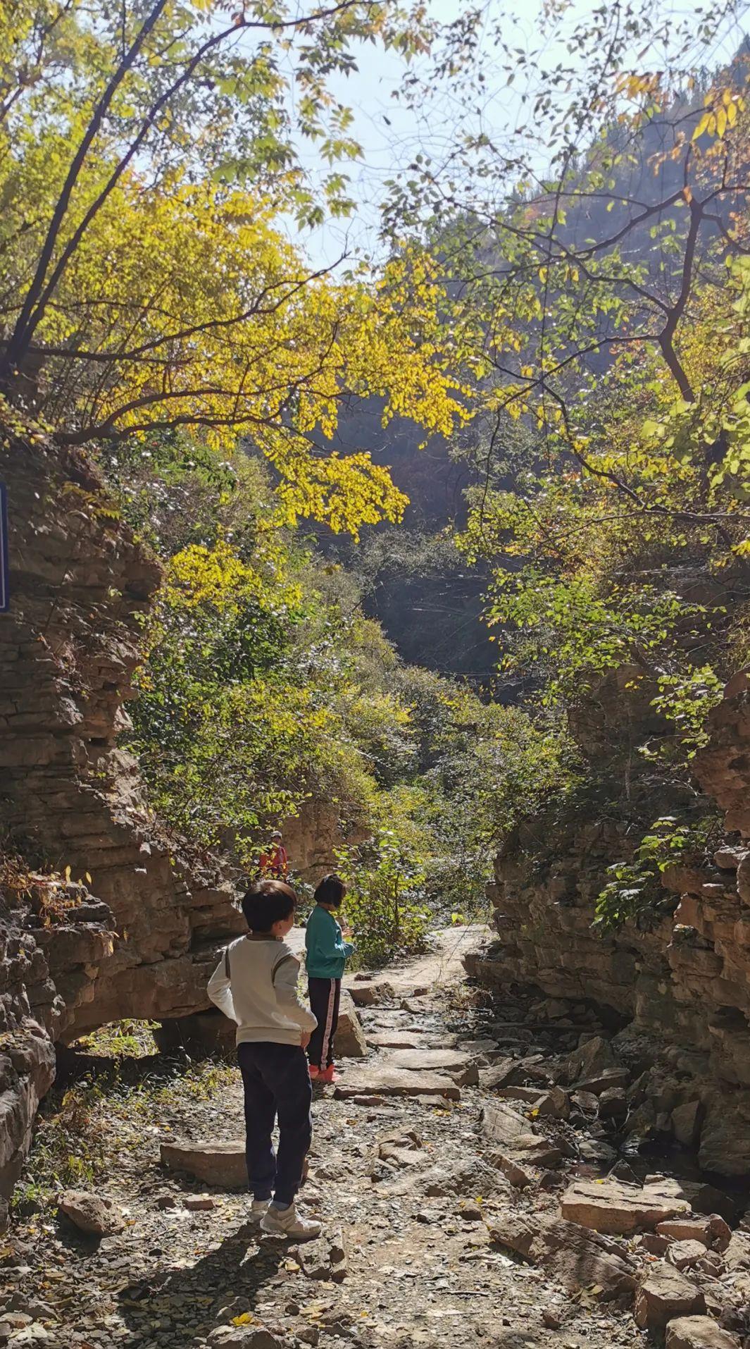 济南亲子遛娃景点排行榜夏季,济南槐荫区遛娃好去处很近的