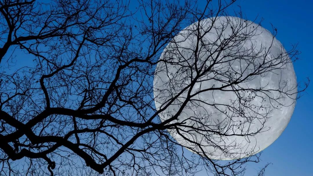 千年经典59首鲜为人知的古诗词,不爱江山爱美人完整版视频