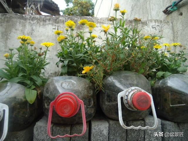 巧妙旧物改造塑料瓶变身手工花盆,旧物利用变废为宝制作花盆