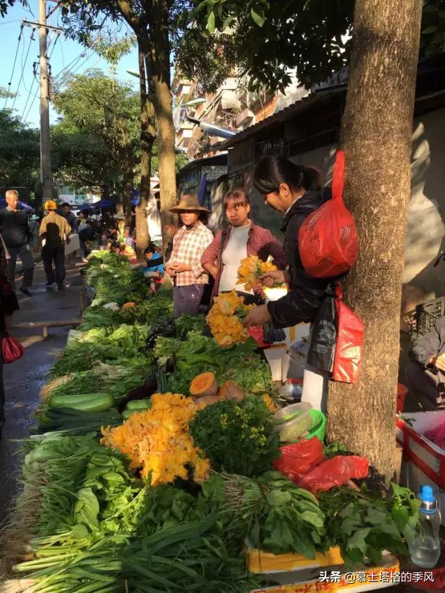 海南哪个地方适合养老价格还便宜,海南最适合的养老胜地