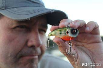 路亚新手入门教程路亚上饵,最常用的三种路亚拟饵