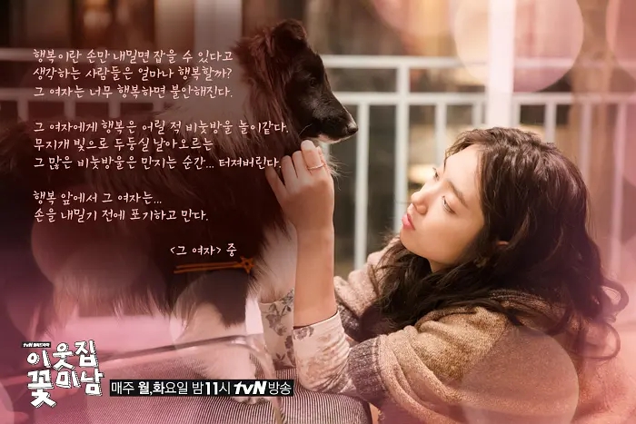 朴信惠和男神的剧,朴信惠的最新电视剧2015