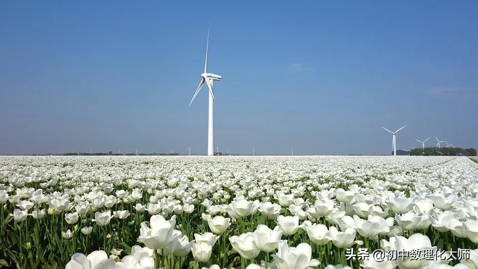 坐标系中一个图形变换,坐标系中的变换题讲解