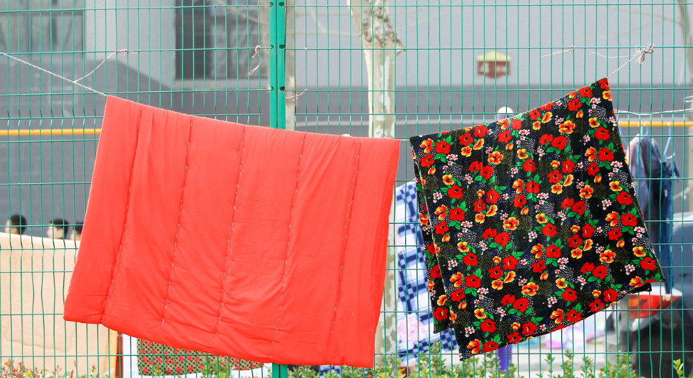 身上长痘、哮喘鼻炎可能都是螨虫惹的祸！除螨用这招，螨虫死光光