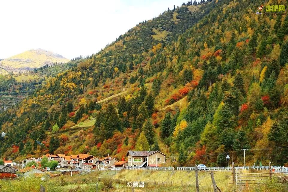四川一条路途经全是石头的山,四川红叶一日游攻略