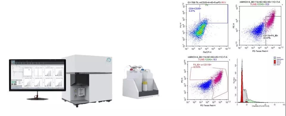 细胞生物学实验报告,细胞生物学实验书籍