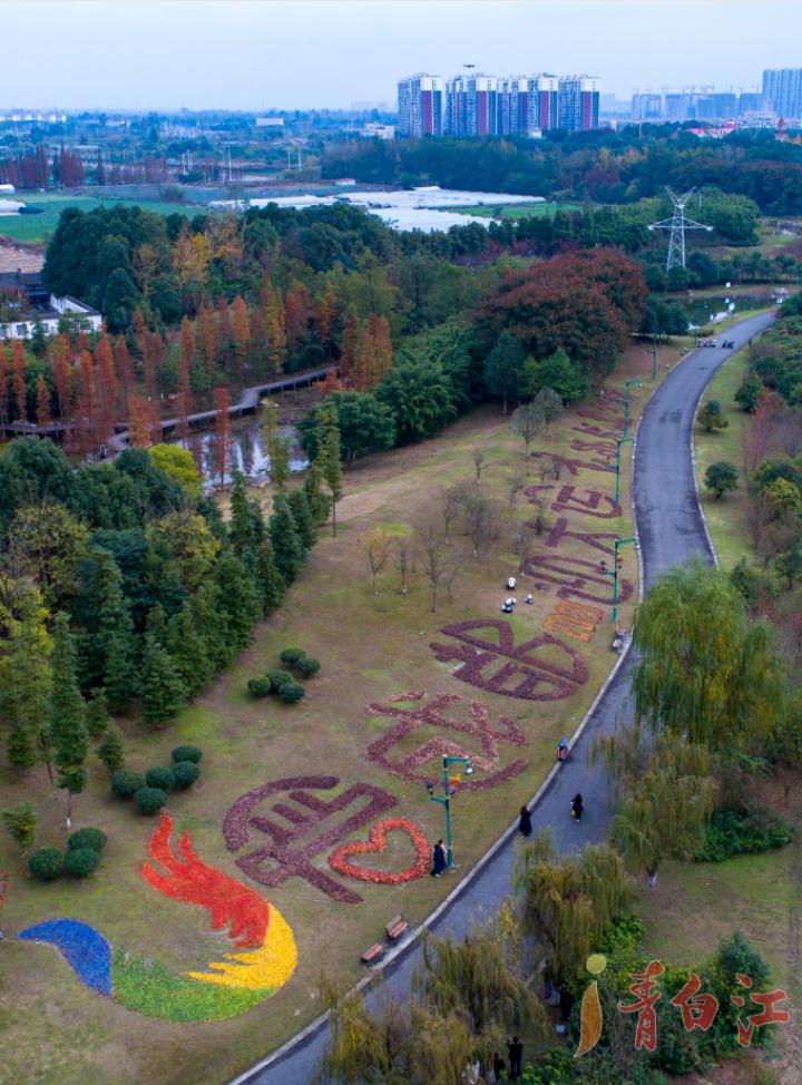大运会会徽成都,成都大运会会徽图案