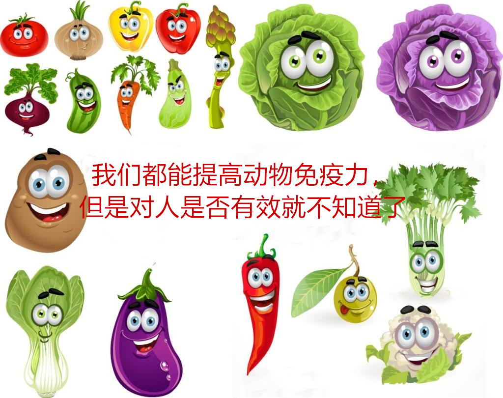 苦瓜提取物皂苷降血糖作用,苦瓜皂苷片的功效与作用