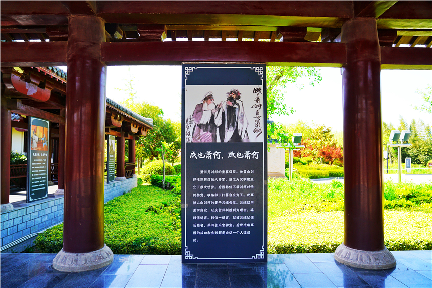 我和宿州有个约会，一场花事，一次慢旅行，探寻最烟火的宿州味道