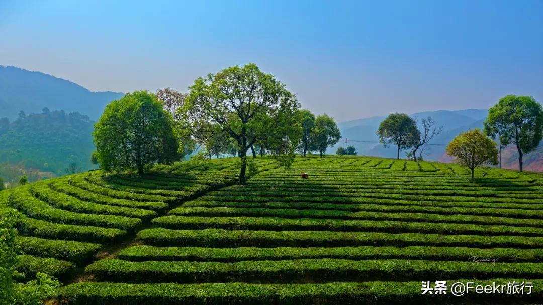 被刘昊然种草的云南小城，全网0攻略，我们花不到2k就逛吃6天