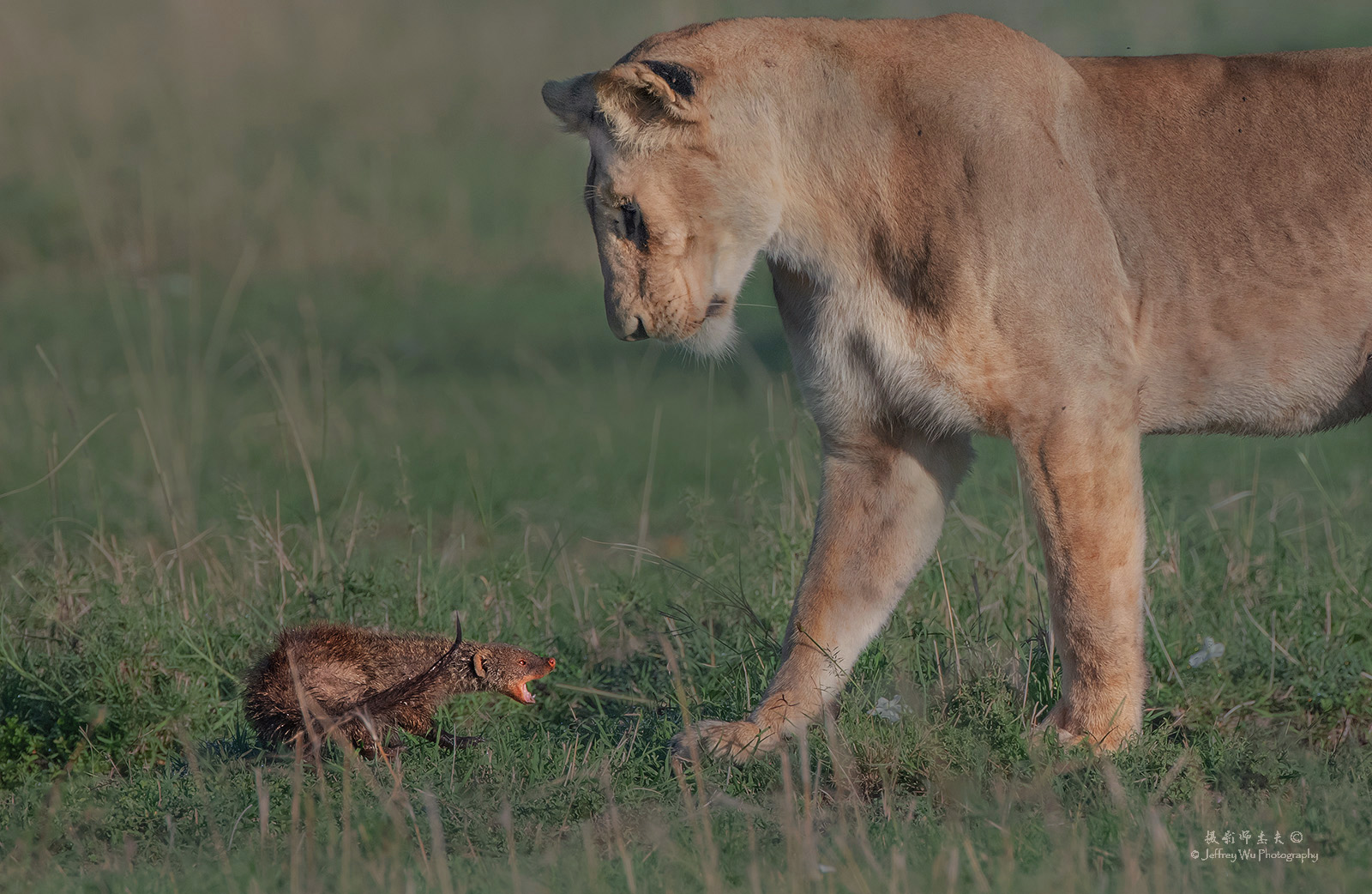 尼康d850完全摄影指南,尼康d850大变焦镜头推荐
