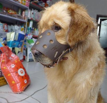 高中常见书写错误,小学生常见易错字巧记法