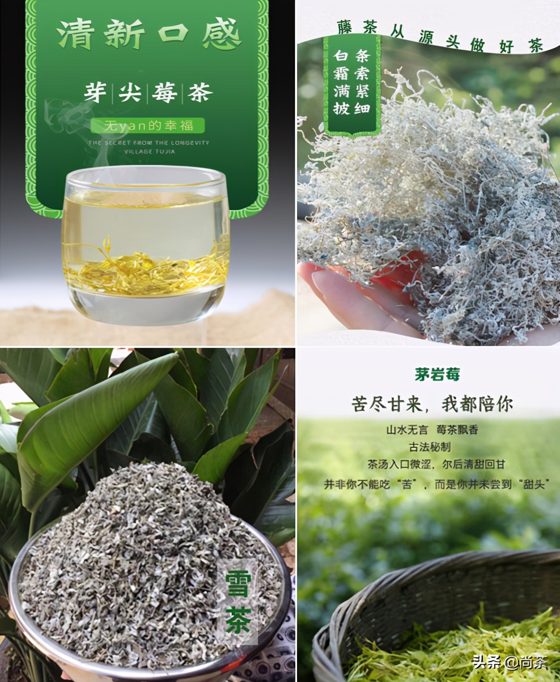 红茶之外的世界｜|给大家解读的这款莓茶，诚壹也没有喝过