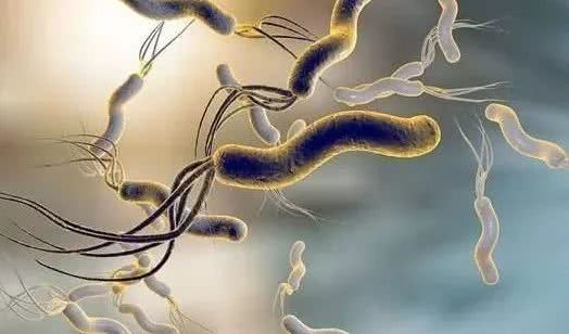 国药抗幽门螺杆菌牙膏真的有用吗,幽门螺杆菌牙膏真的对口臭有效吗