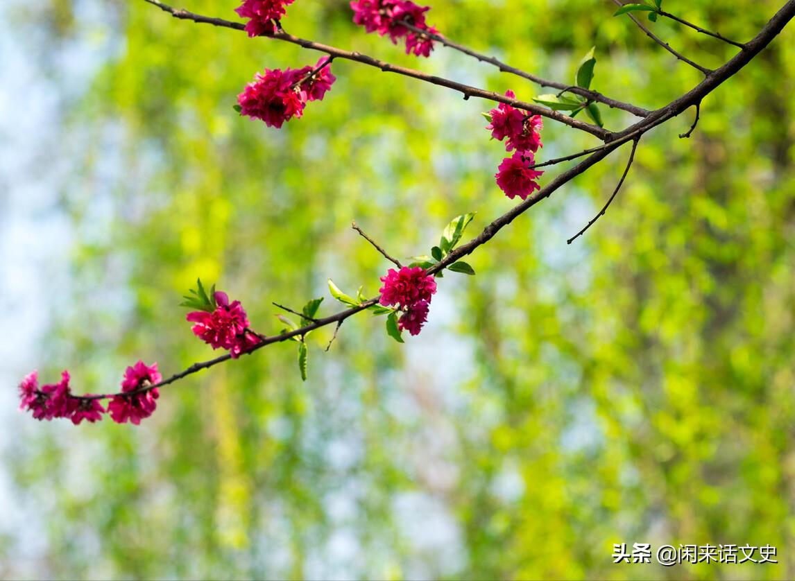 王维三首最精彩的五绝山水诗,王维的诗词最好的十首及推荐理由