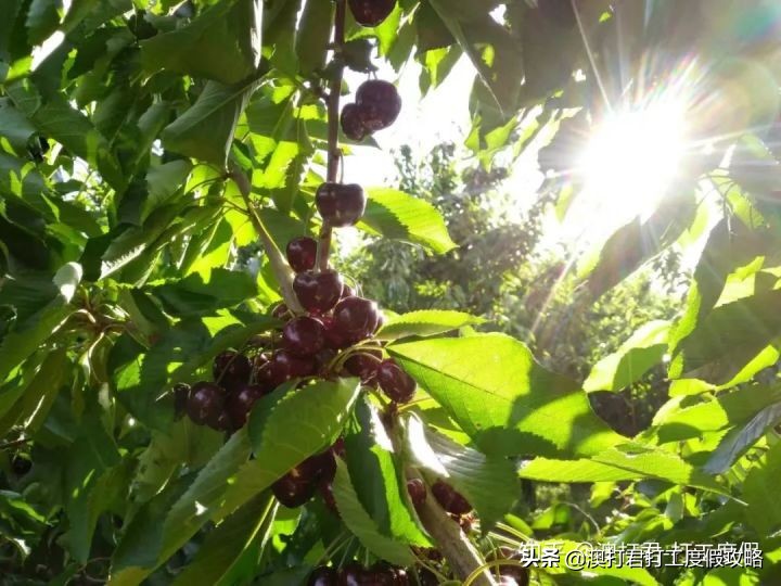 十大在家最挣钱的工作,去做什么工作才是最赚钱的