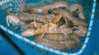 大连最浪漫的十个地方,大连浪漫景色