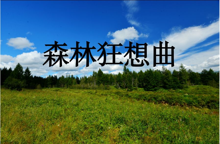 奥尔夫打击乐森林狂想曲分解步骤,森林狂想曲中间部分奥尔夫音乐