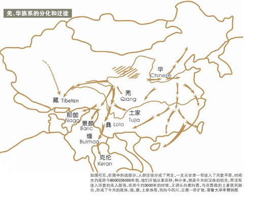 人类进化史上消失的人种,人类起源的三大人种始末